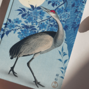 Journal Cherry Blossom by a Moonlit Night