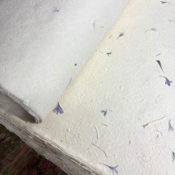 Lokta Paper Cornflowers 20 Sheets of A4 Paper