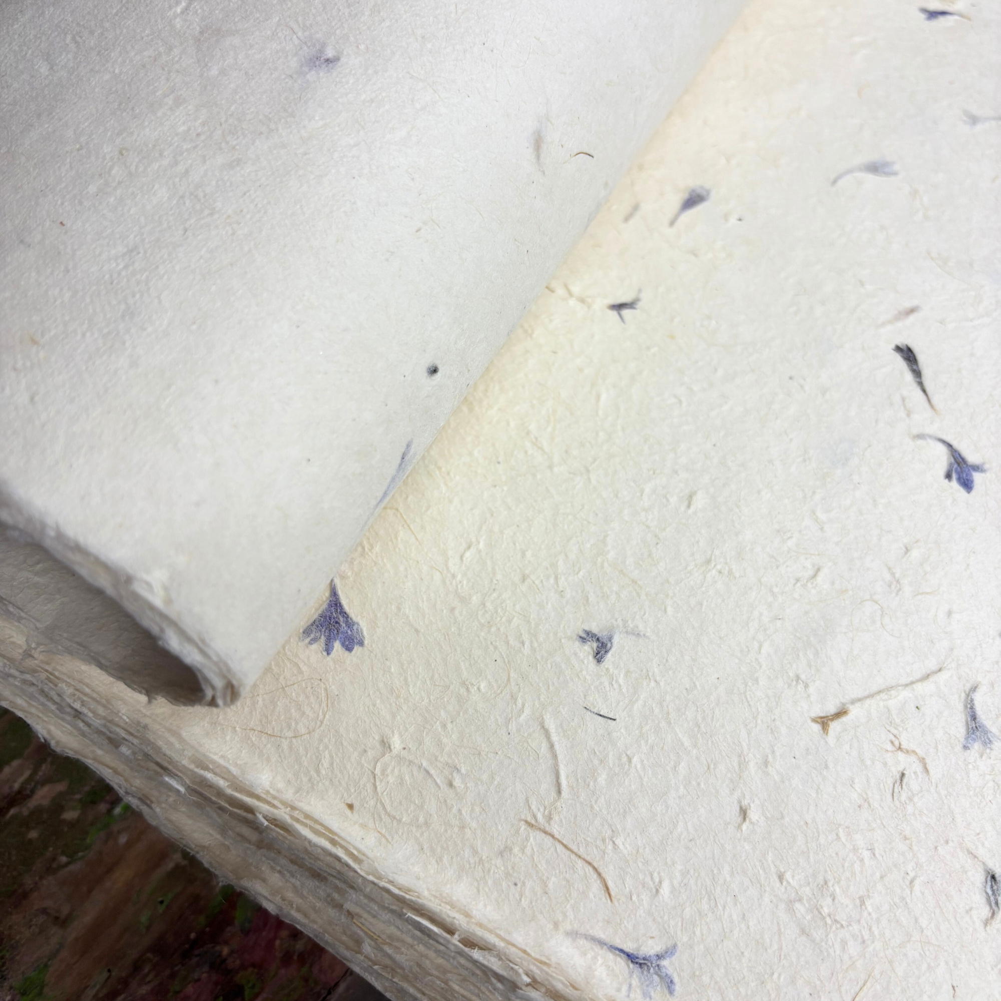 Lokta Paper Bundle 40 Sheets A4 - Image 3