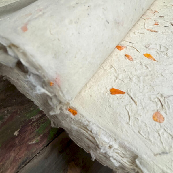 Lokta Paper Marigold 20 Sheets of A4 Paper