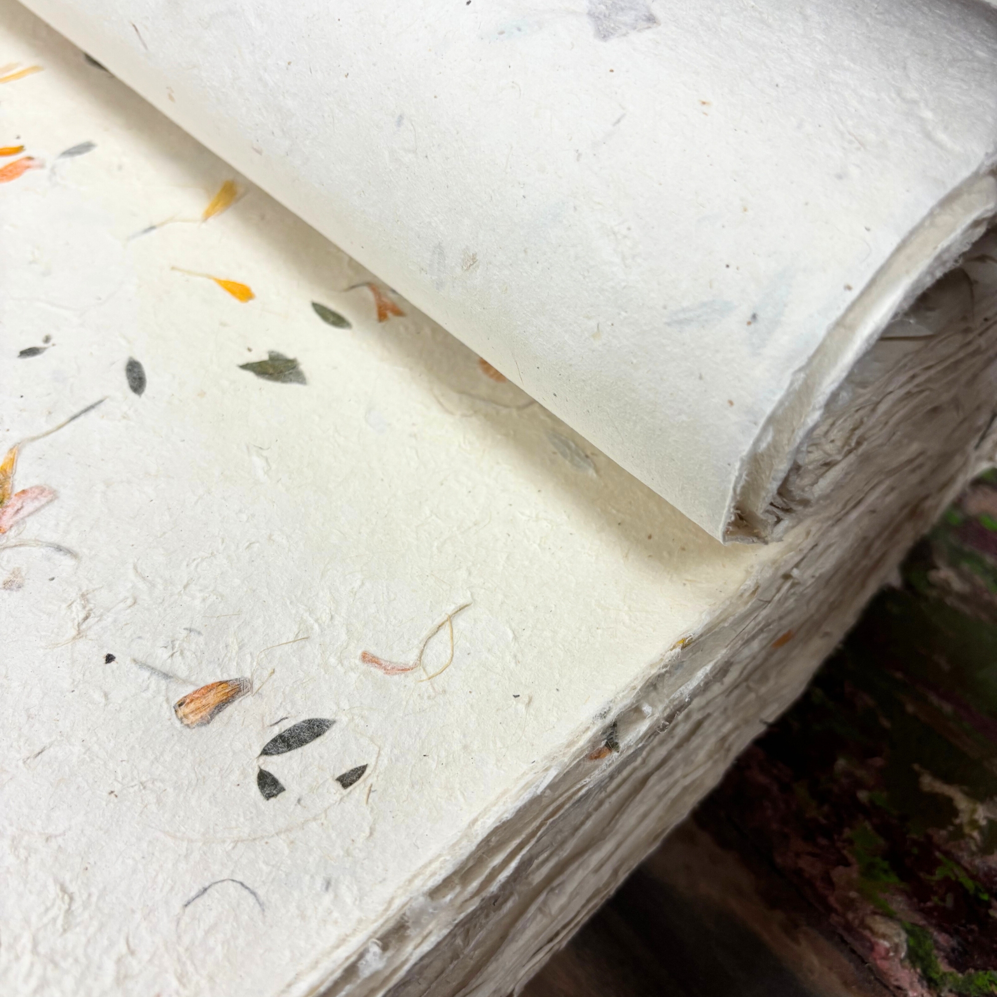 Lokta Paper Bundle 40 Sheets A4 - Image 4