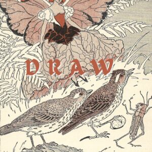 Sketchbook Vintage Fairy and Birds