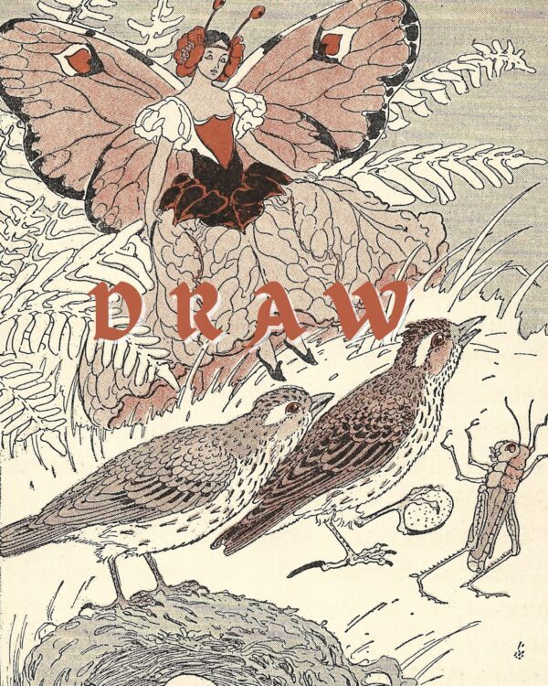 Sketchbook Vintage Fairy and Birds